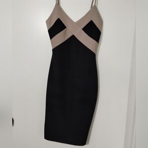 Olive Tree Elegant Black and Tan Women's Dress